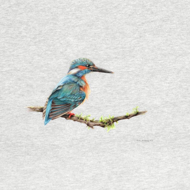 Kingfisher by sarahstribb